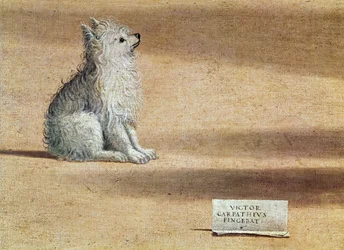 Vision de saint Augustin, détail du chien, 1502-08